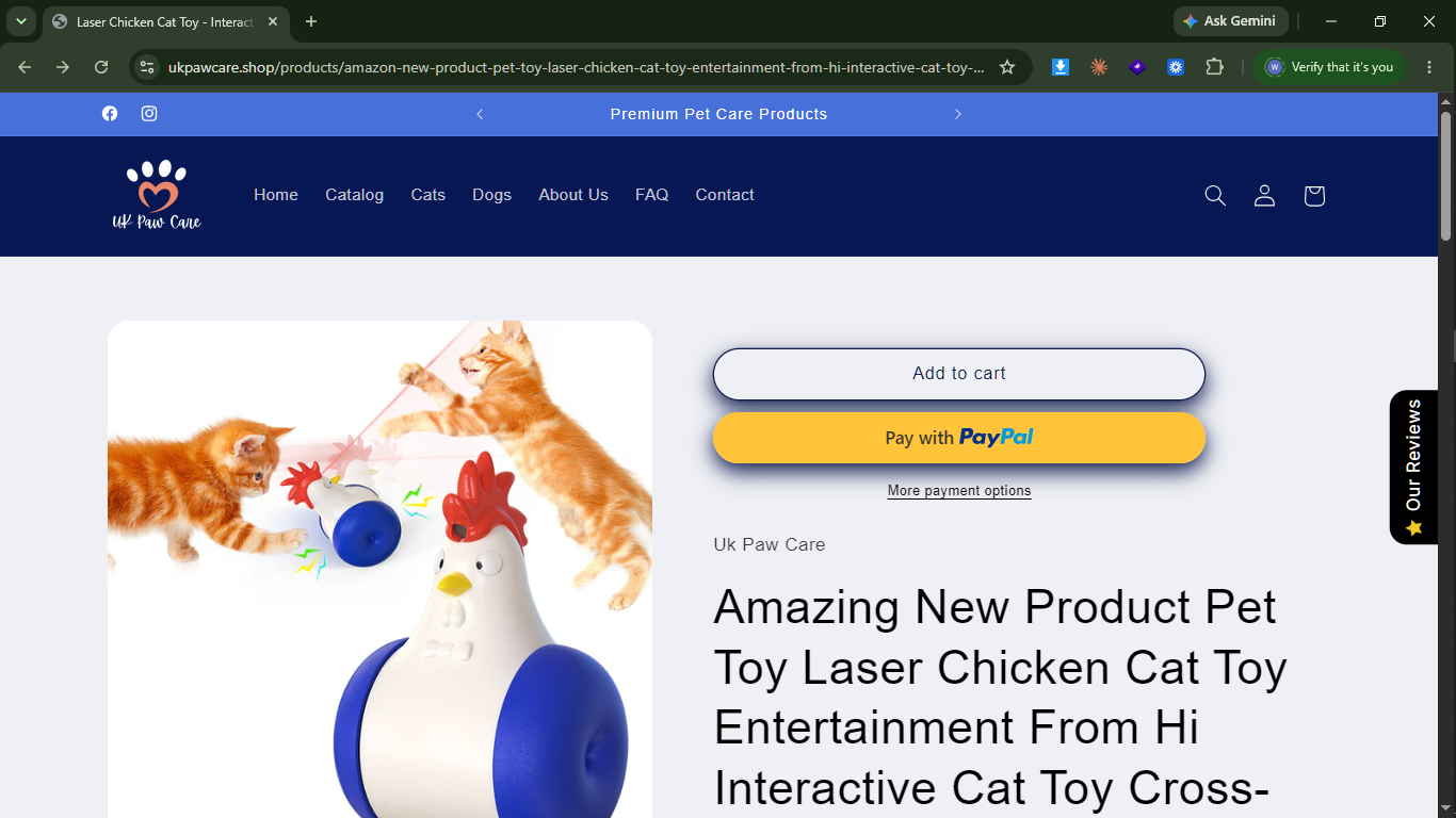 Laser Chicken Cat Toy – Interactive Entertainment test product