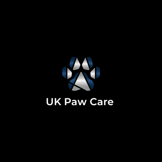 5 Essential Pet Care Tips Every Pet Owner Should Know