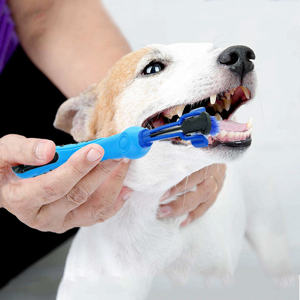 Pet plush color toothbrush dog toothbrush in addition to bad breath and tartar dental care dog cat cleaning supplies
