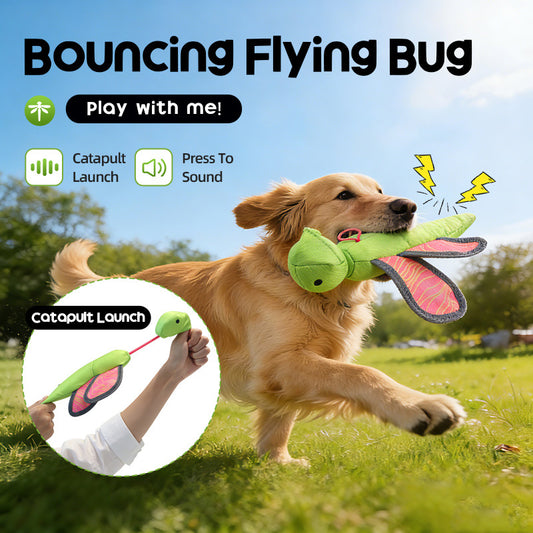Popular Pet Toy: Interactive Throwing Toy With Sound, Oxford Cloth Dog Toy, Catapult Flying Toy For Border Collies, Outdoor Sports
