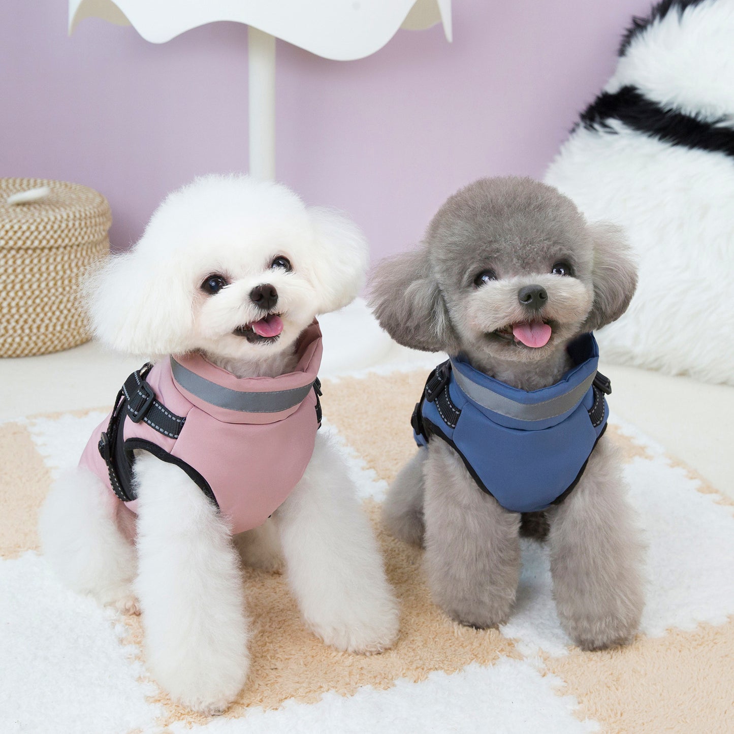 Dog Clothes Thickened Autumn And Winter Clothing Teddy Vest Small And Medium Dog Winter Pet Clothing 24 Equipment Traction Cotton Clothes