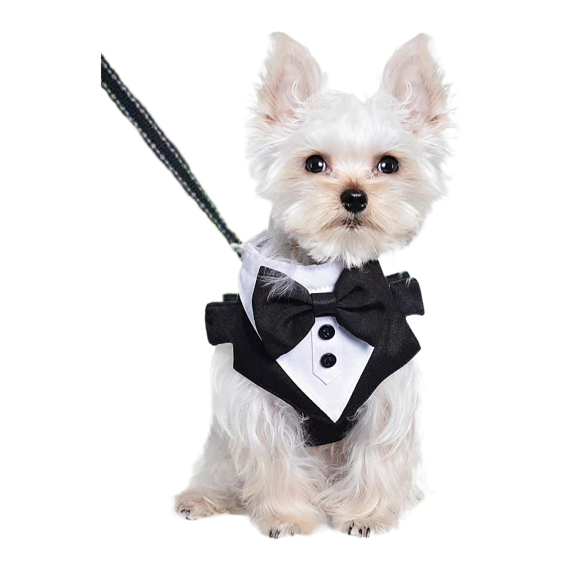 Pet Dog Clothes Suit Bow Tie Neck Scarf Harness Small Medium Large Dog Wedding Dress Suit Leash