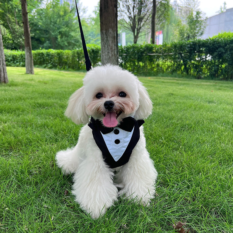 Pet Dog Clothes Suit Bow Tie Neck Scarf Harness Small Medium Large Dog Wedding Dress Suit Leash