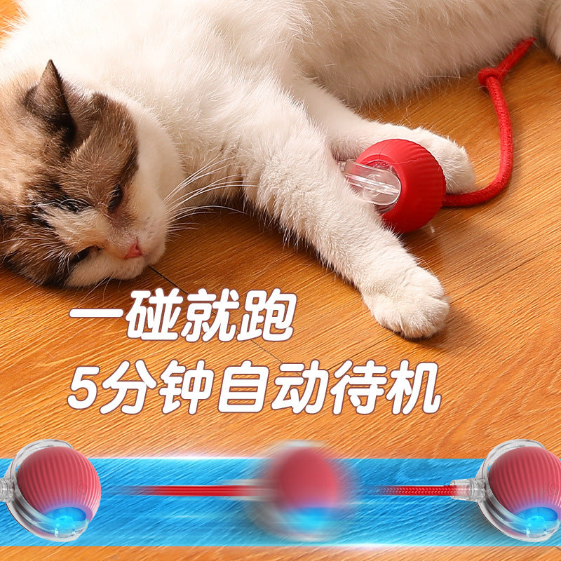 Cross-border Bite-resistant Automatic Cat Ball Cat Toy Ball Self-hi Boredom Relief Artifact With Rope Pet Supplies Jump Ball