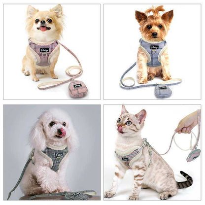 Small Dog Traction Rope Chest Harness Pet Small Dog Teddy Puppies Vest Style Cat Walking Cat Rope Dog Chain