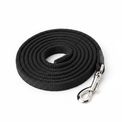 Black Dog Leash