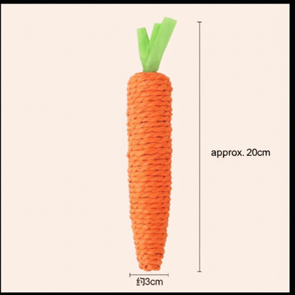 Carrot Toy - English Size