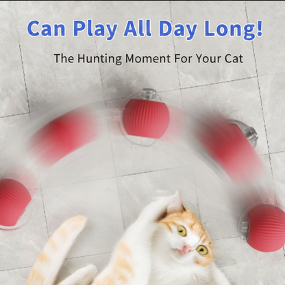 Cat Ball Toy - English Text