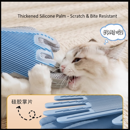 Cat Grooming Glove - No Chinese