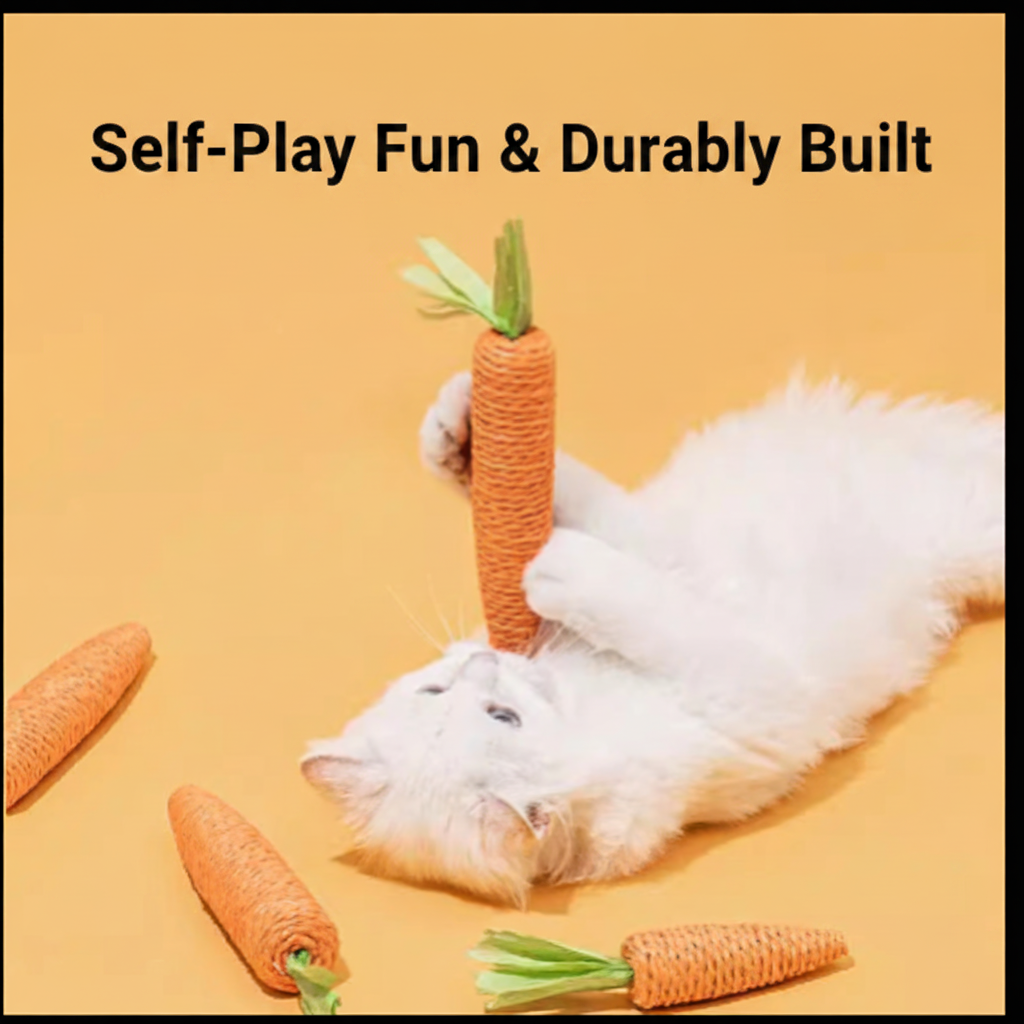 Cat Playing - English Text