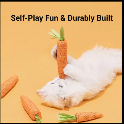 Cat Playing - English Text