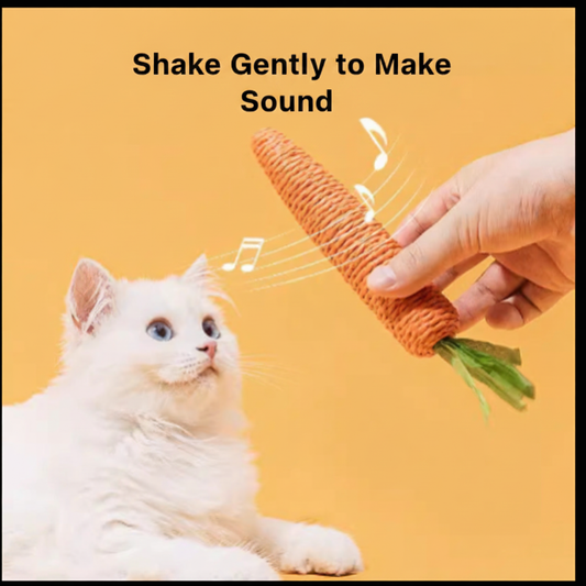 Cat with Carrot Toy - English