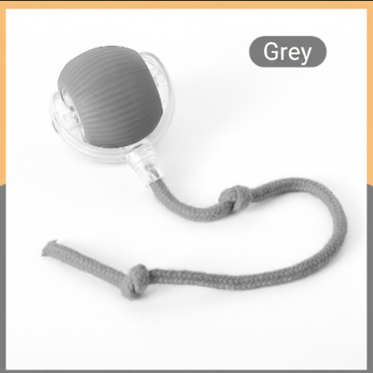 Grey Cat Ball
