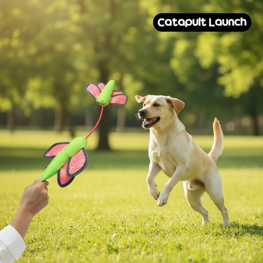 Labrador with Catapult Toy