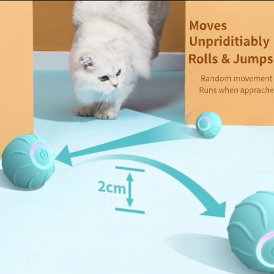 Moves Unpredictably