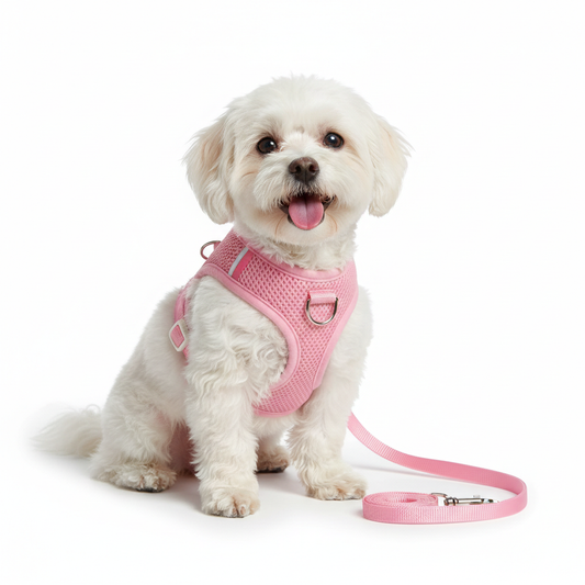 Pink Dog Harness