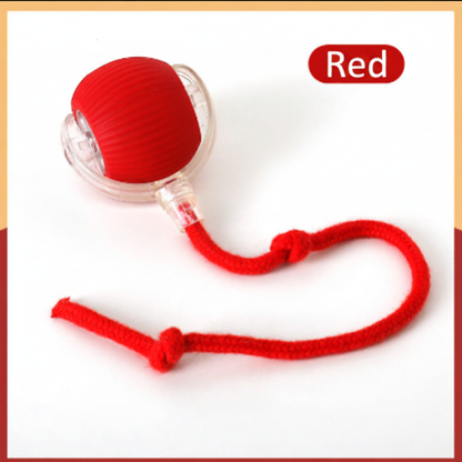 Red Cat Ball