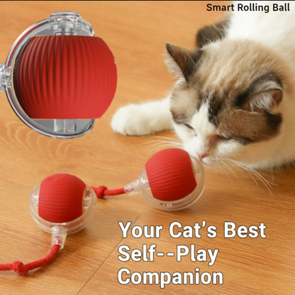 Smart Rolling Cat Ball - English Version