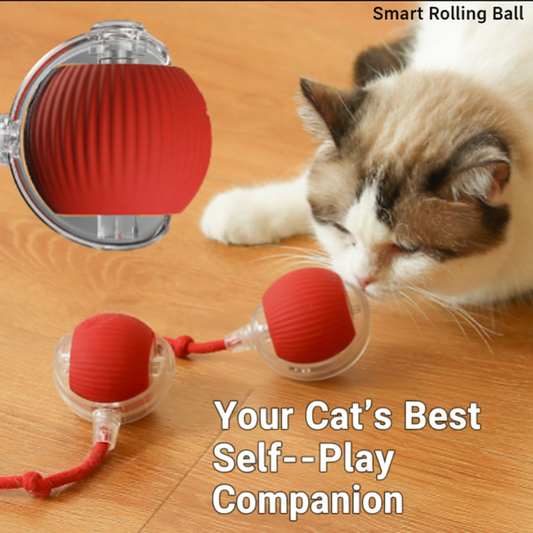 Smart Rolling Cat Ball - English Version